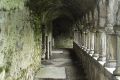 sligo abbey cloister02_lge